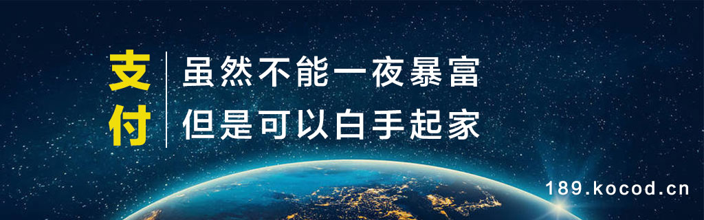 【陪跑项目-支付行业】